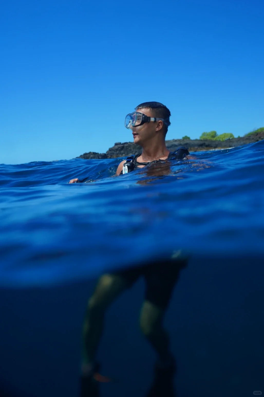 🌺Dive Across Hawaii with Me: Top Dive Spot Recommendations🌺