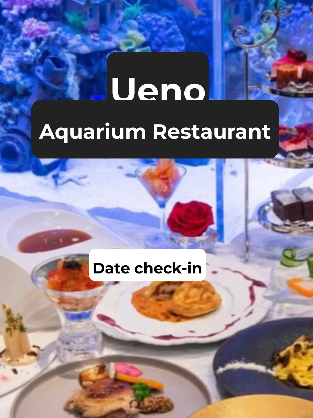 Ueno Food Guide | The Aquarium Restaurant is a Must-Visit