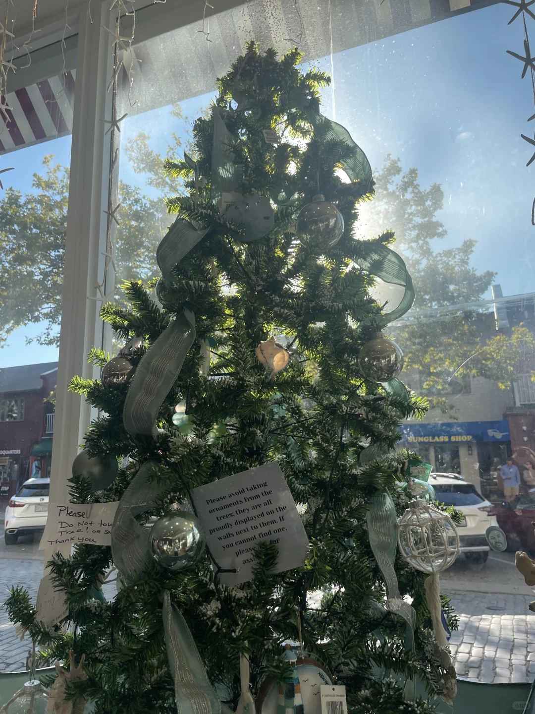 Looking for Halloween Activity Buddies in Boston