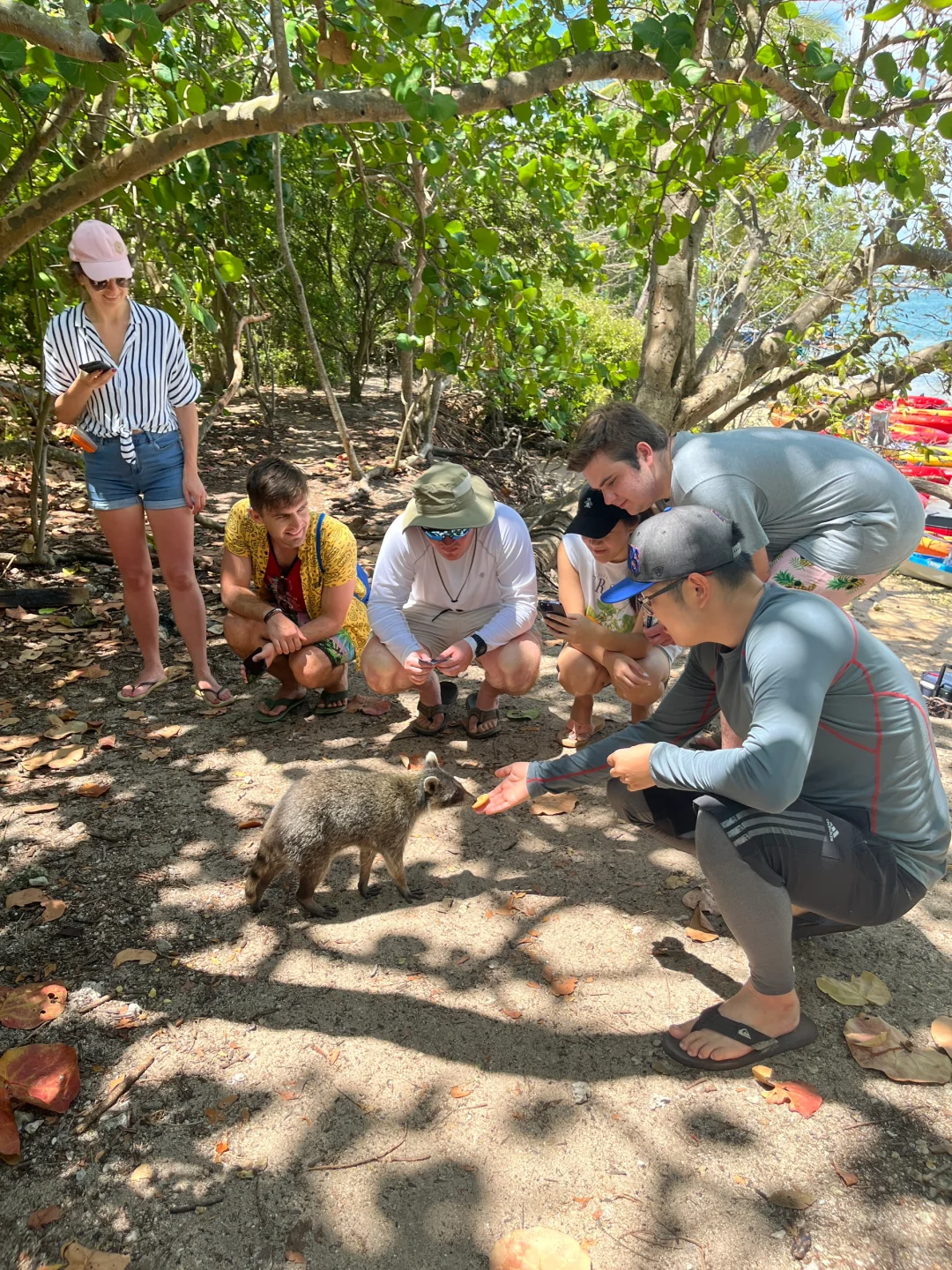 First Look – Miami's Raccoon Island