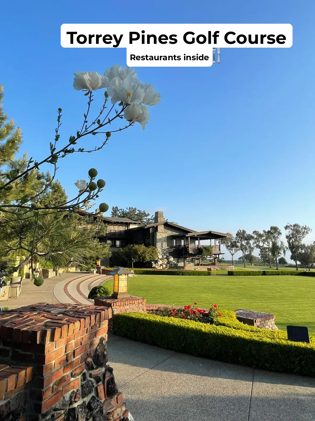 Facing the Sea, Nestled in Greenery—Discovering Restaurants by the Golf Course