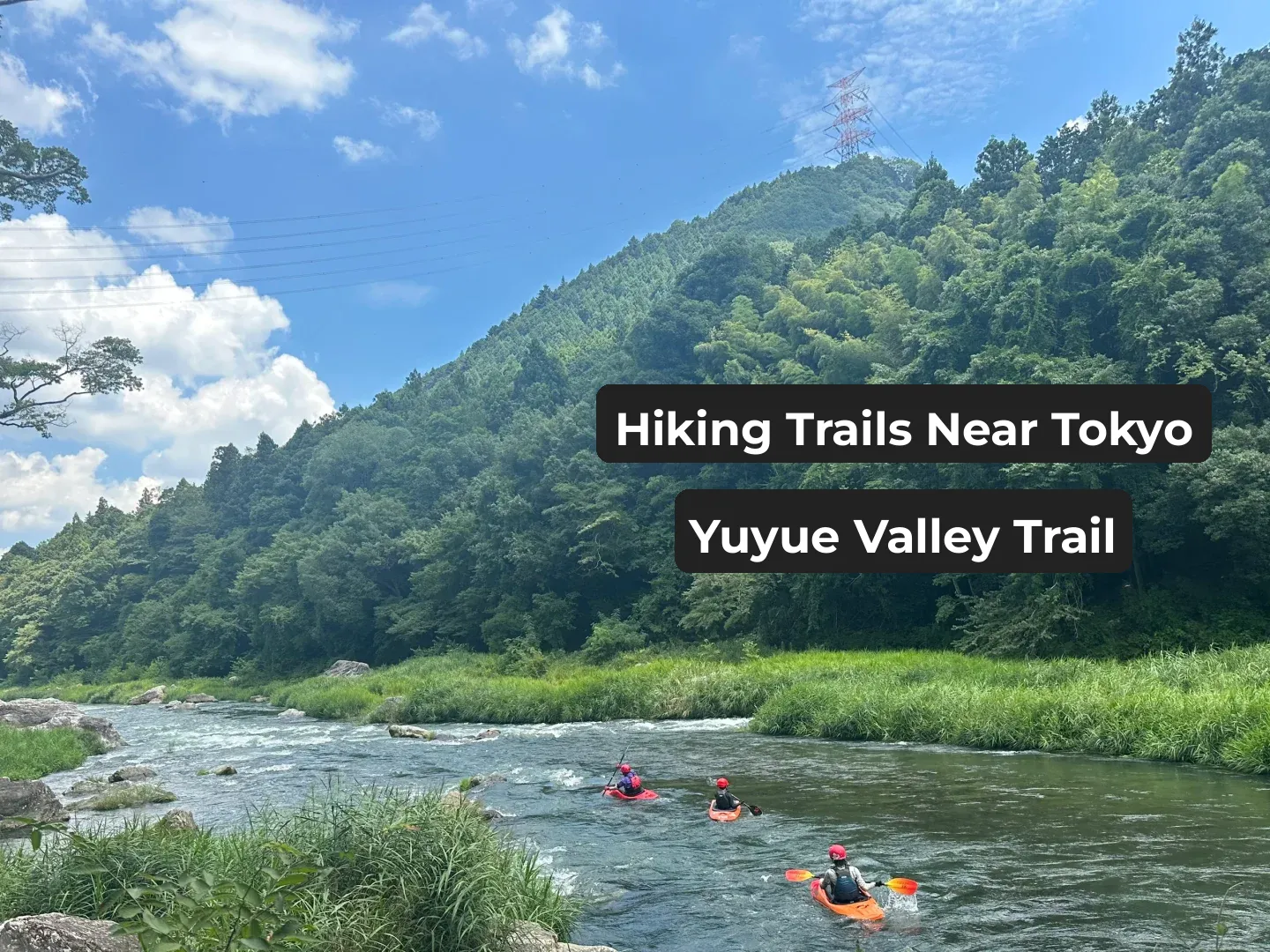 Top Outdoor Hiking Spots Near Tokyo!