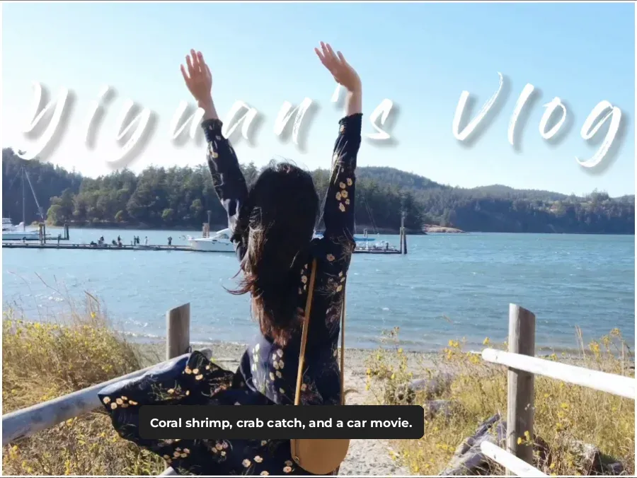 Vlog | Seattle Seafood Bonanza: A Day of Wild Feasting with Shrimp, Crab, and Drive-In Movies