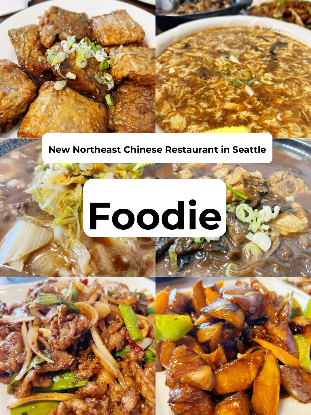 Seattle Foodie Adventures ❤️ The Gourmet Explorer