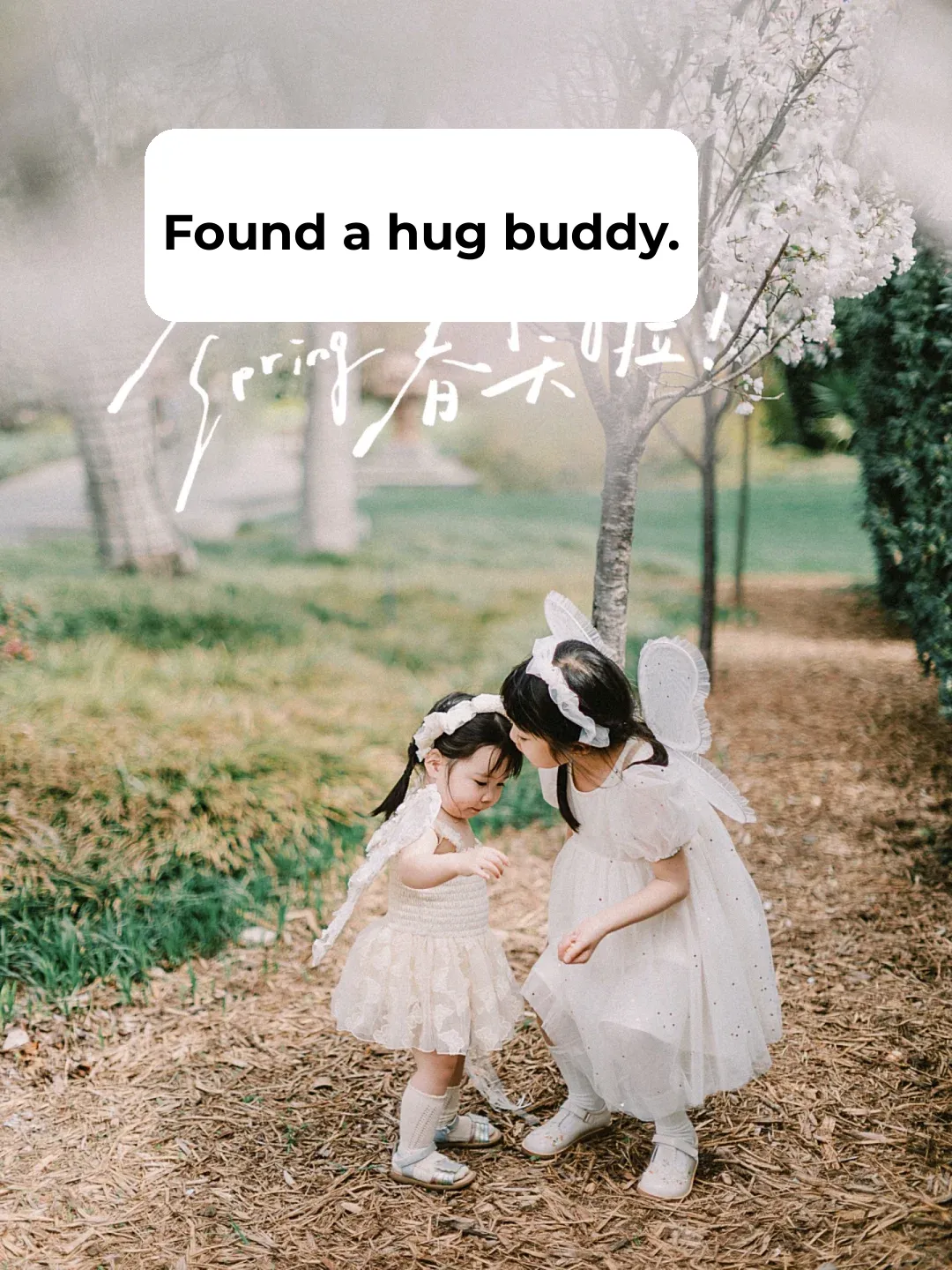 This spring, all I want is to take more photos of my darling girl🌸