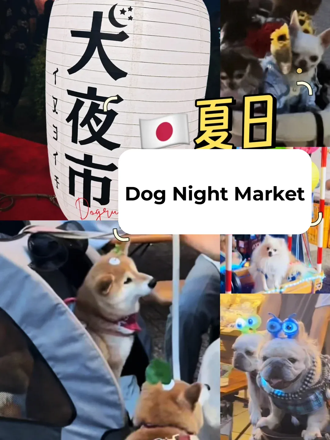 🇯🇵 Japan's Dog Night Market 🐶 Too Wild, Next Level Stuff 🚗