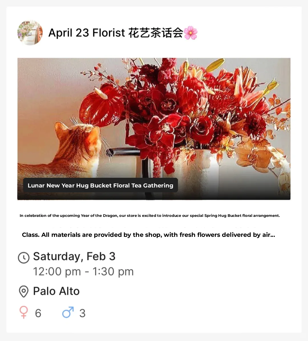 Bay Area | 7 Days of Fun During Chinese New Year 🧨