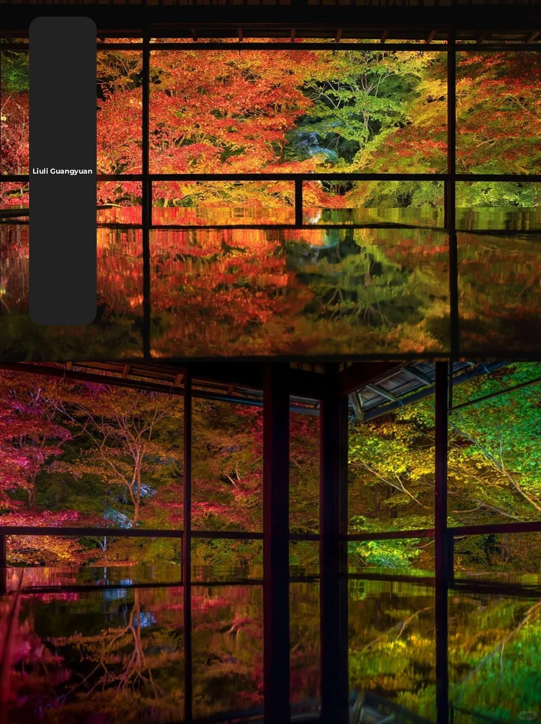 🍁 Kyoto Autumn Foliage Must-Visit Guide | Top 9 Spots & Ticket Tips