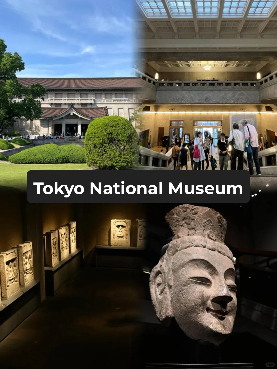 Where to Take the Kids in Tokyo This Summer: Best Family-Friendly Attractions