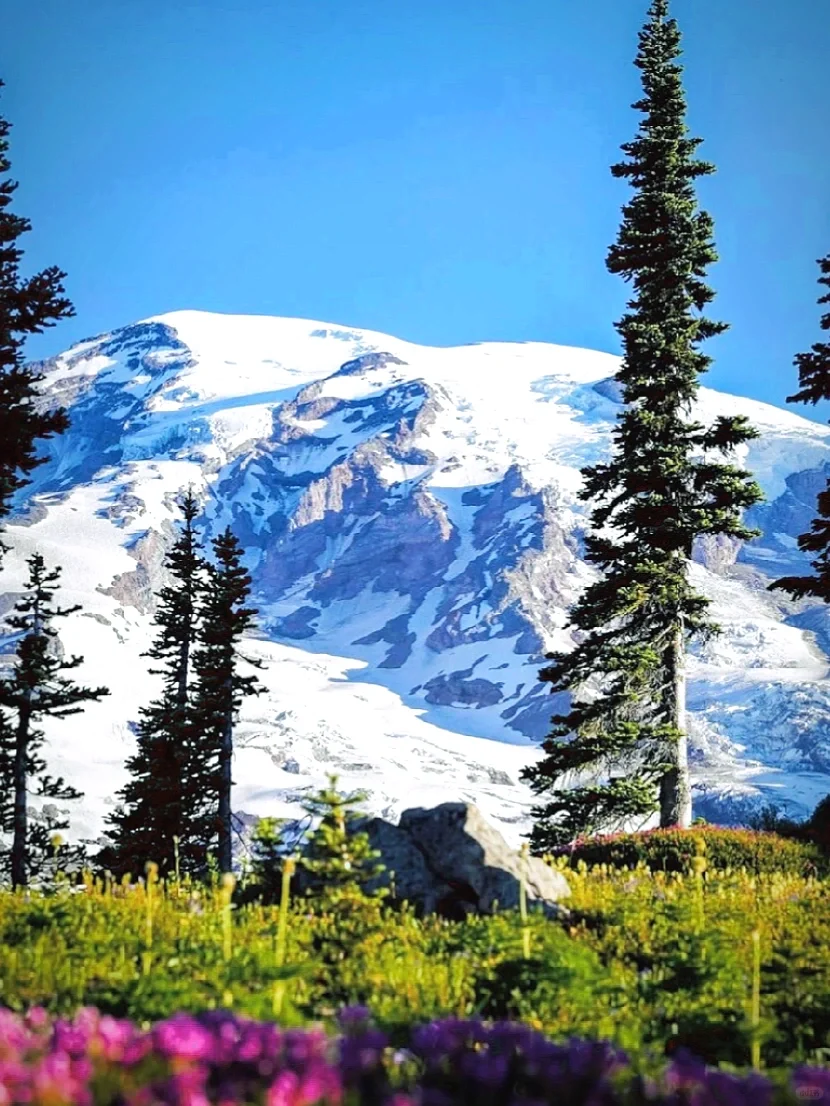 Mount Rainier NP | Ultimate Day Trip Guide
