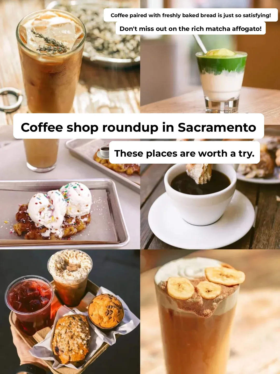 Sacramento Coffee Shop Roundup｜☕️