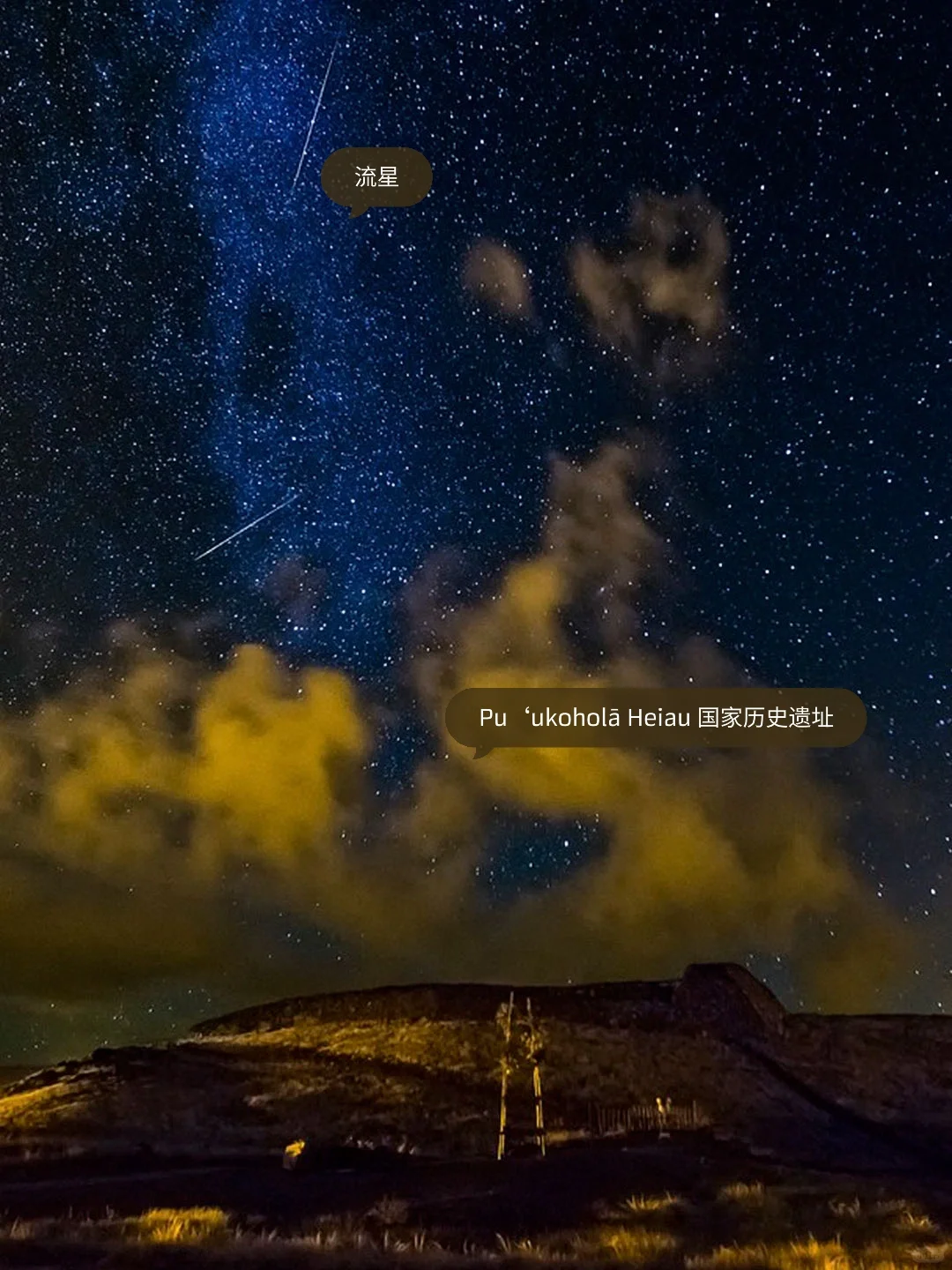 "First Trip to Hawaii · Stop 1: Nature and Ecology Museum"