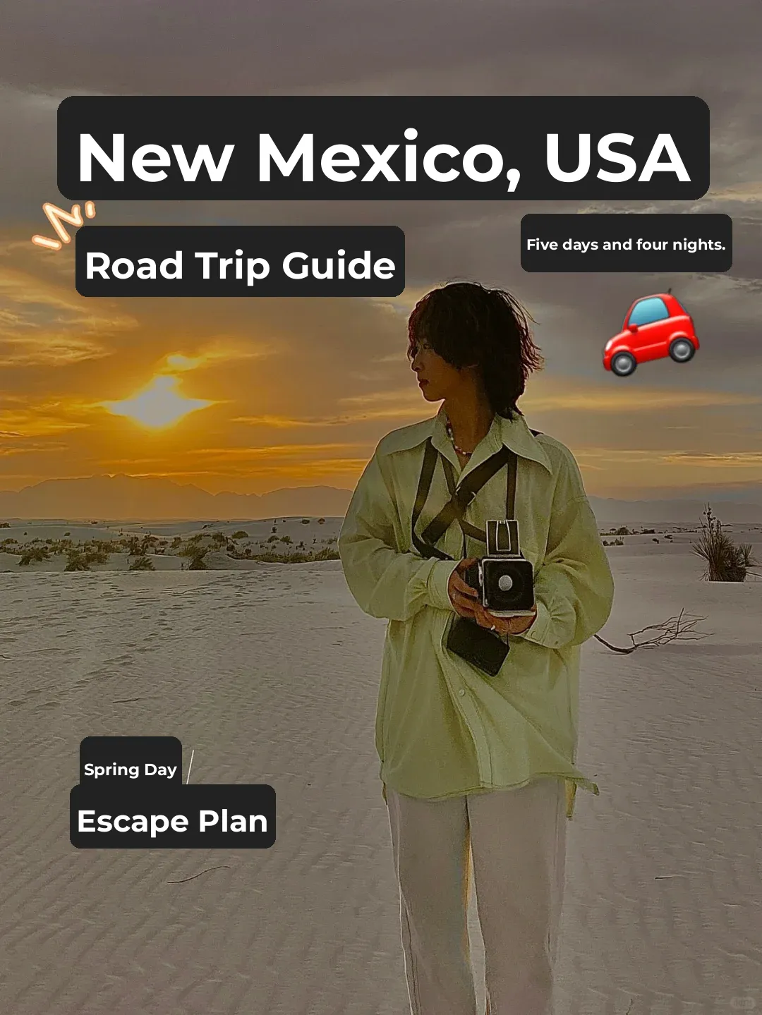 🌵 New Mexico Road Trip Guide | Meticulously Compiled‼️