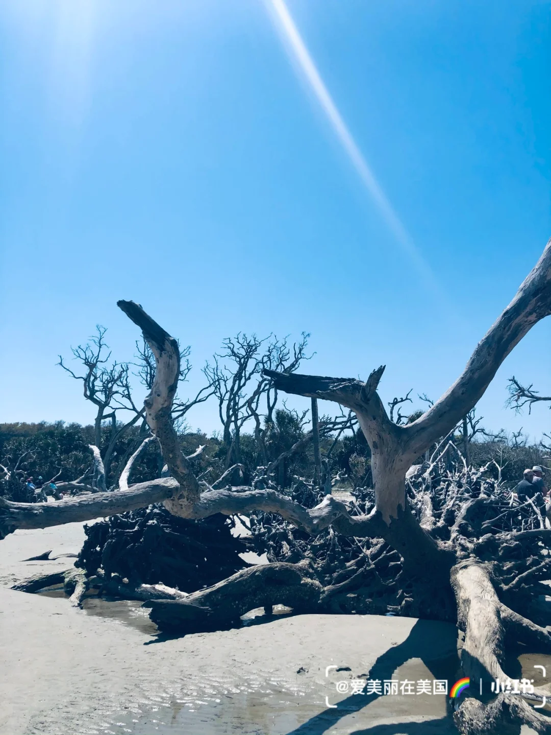 "3 Days, 2 Nights Short Getaway to Savannah | Exploring the Surroundings of Georgia"