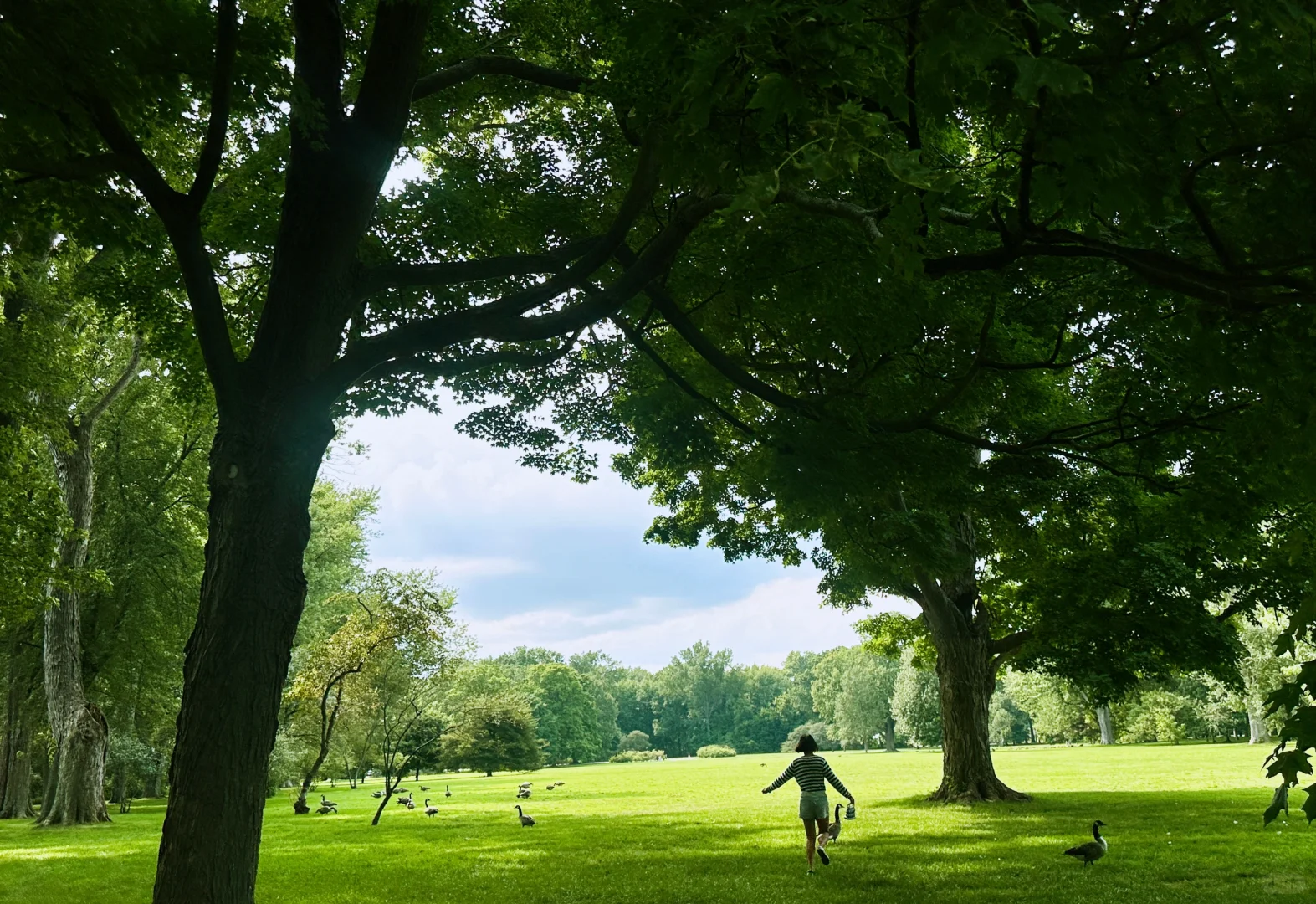 Another Must-Visit Spot in Michigan: The Recently Discovered Ford Estate