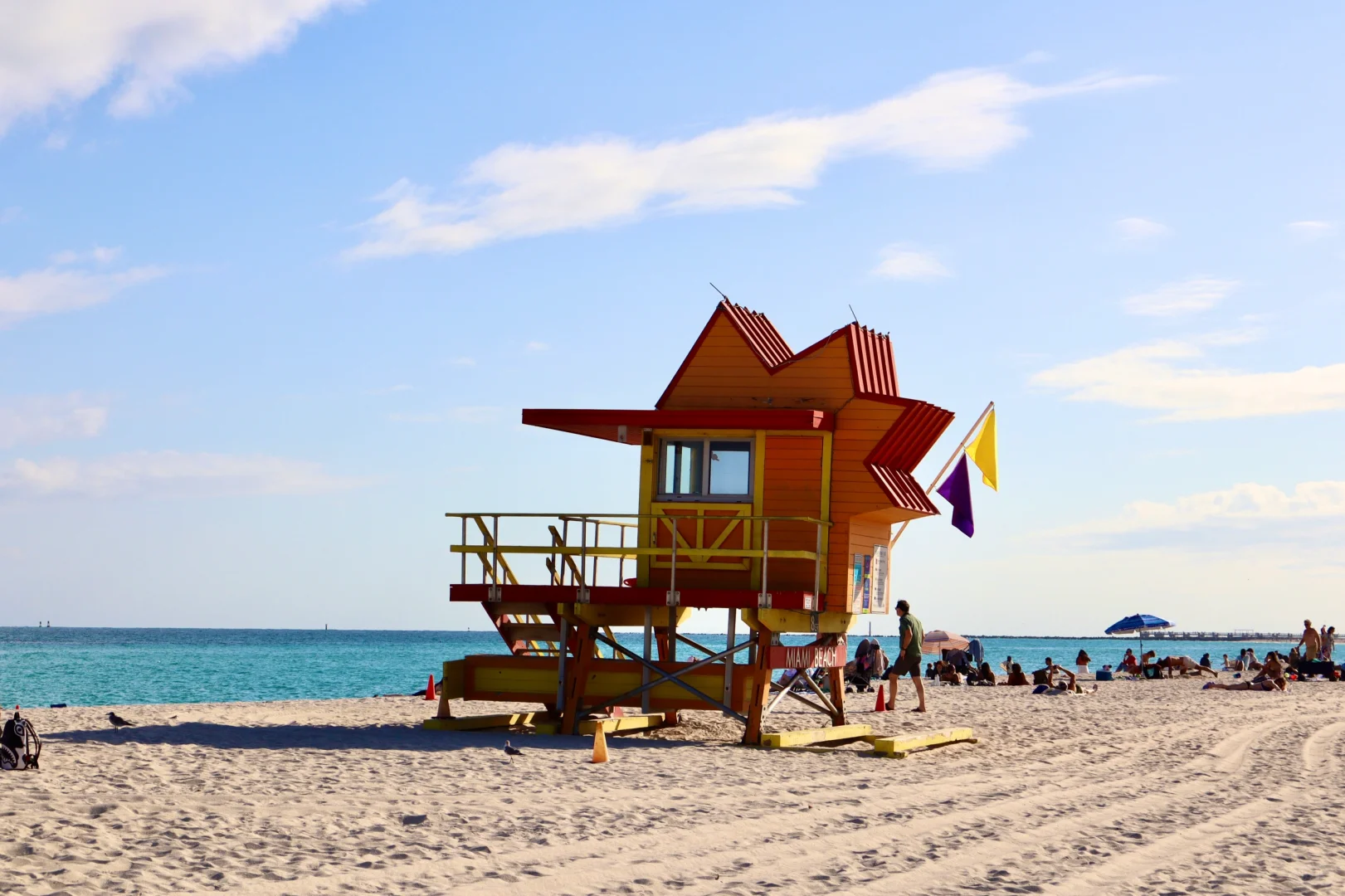 Solo Trip: A Timid Introvert Bravely Ventures into Florida (Part 1)