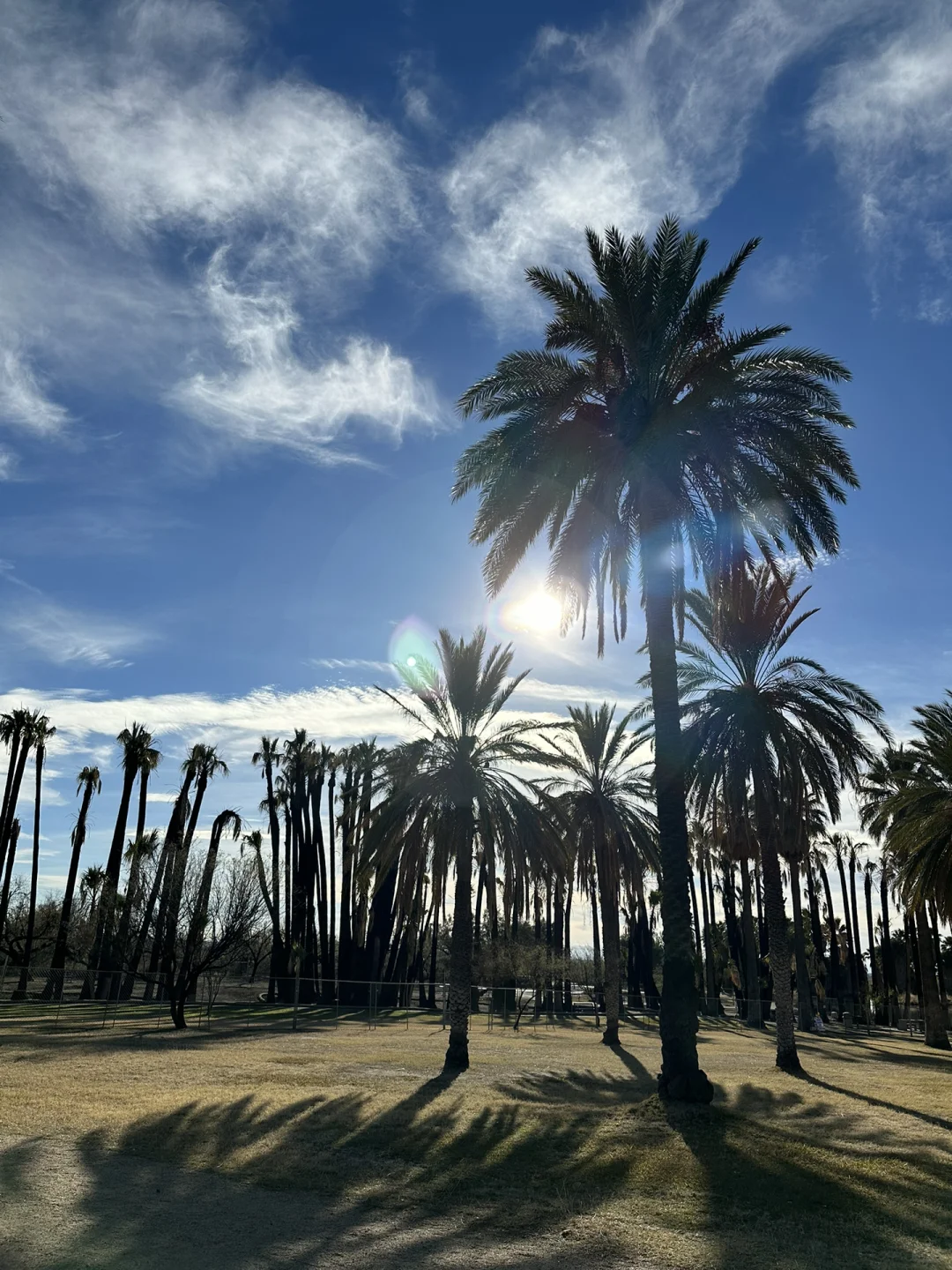One of the Most Beautiful Parks in Tucson