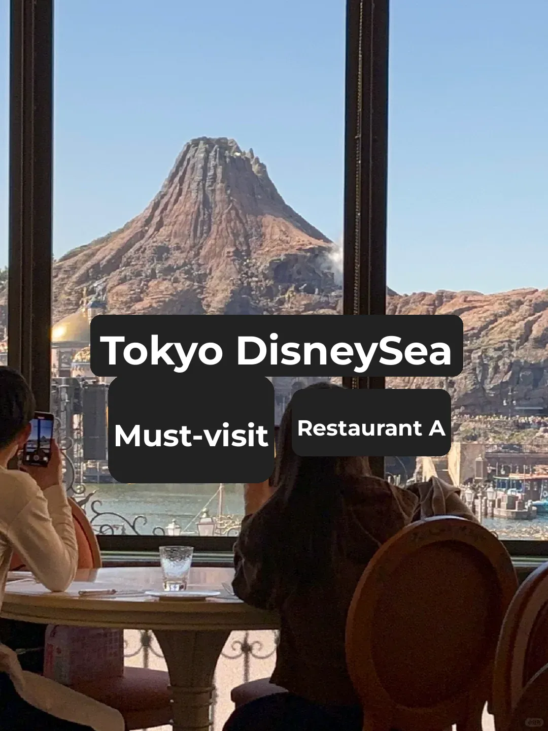 This is hands down the best restaurant at Tokyo DisneySea!