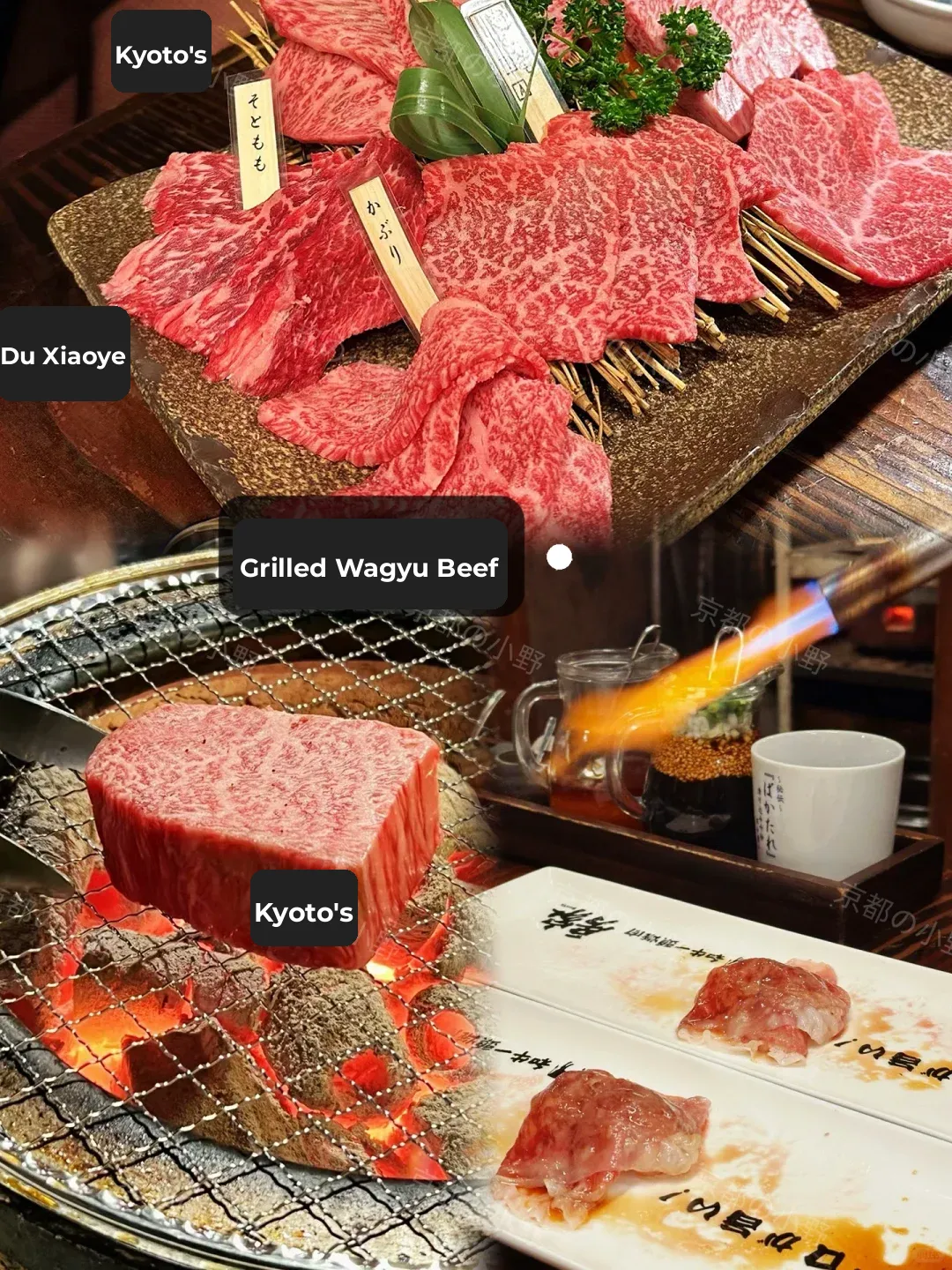 ✅Foodie Guide 🍜｜Tokyo Eats 🇯🇵 Follow the Flavor ❣️