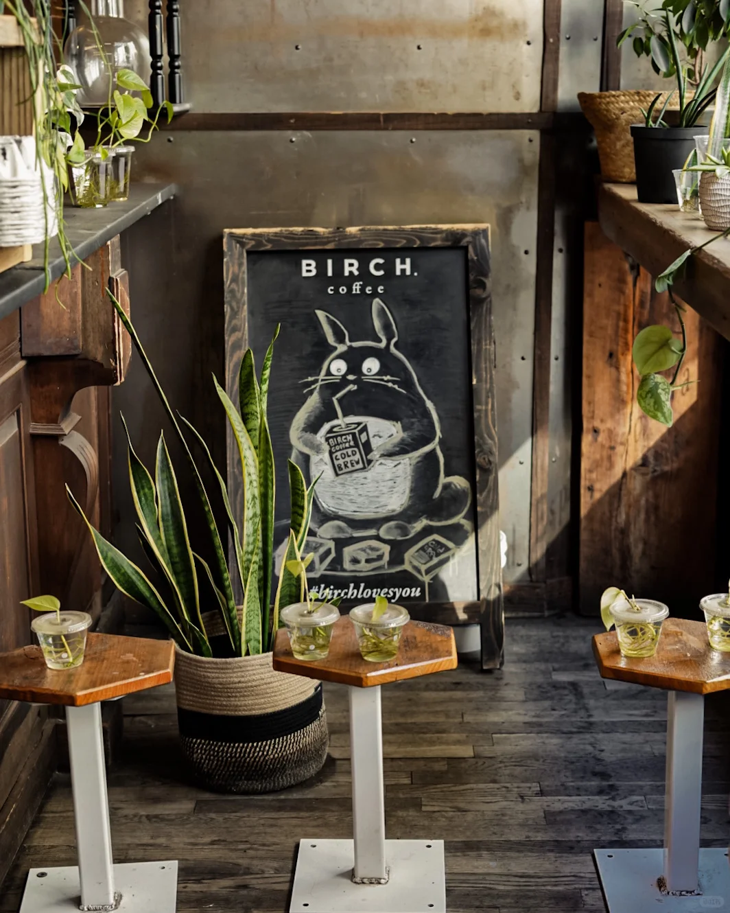New York's Birch Coffee: The Enchanting "Forest-Style" Café Surrounded by Greenery