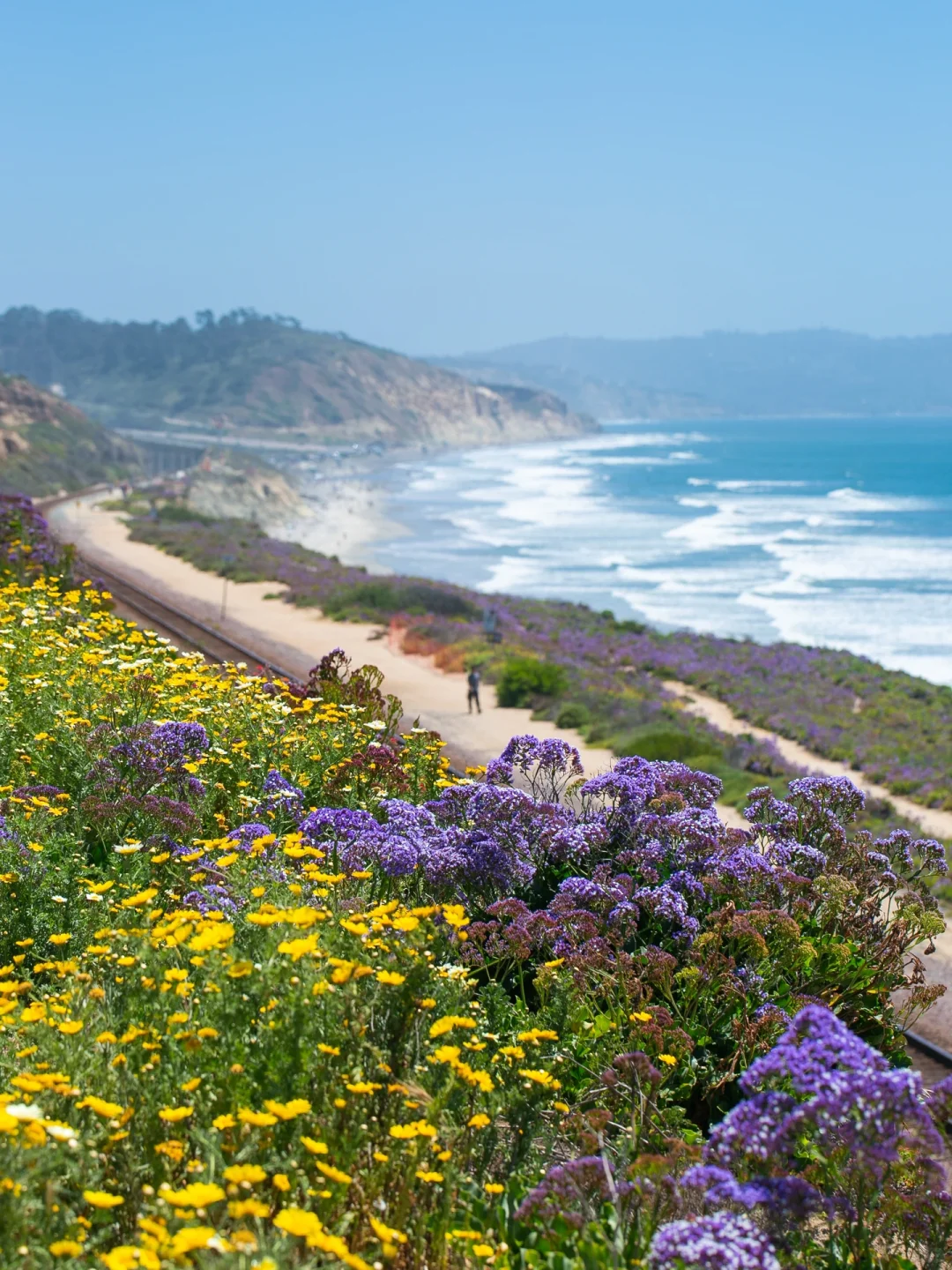 San Diego | Take a Stroll Down the Blooming Pathway You Can't Miss