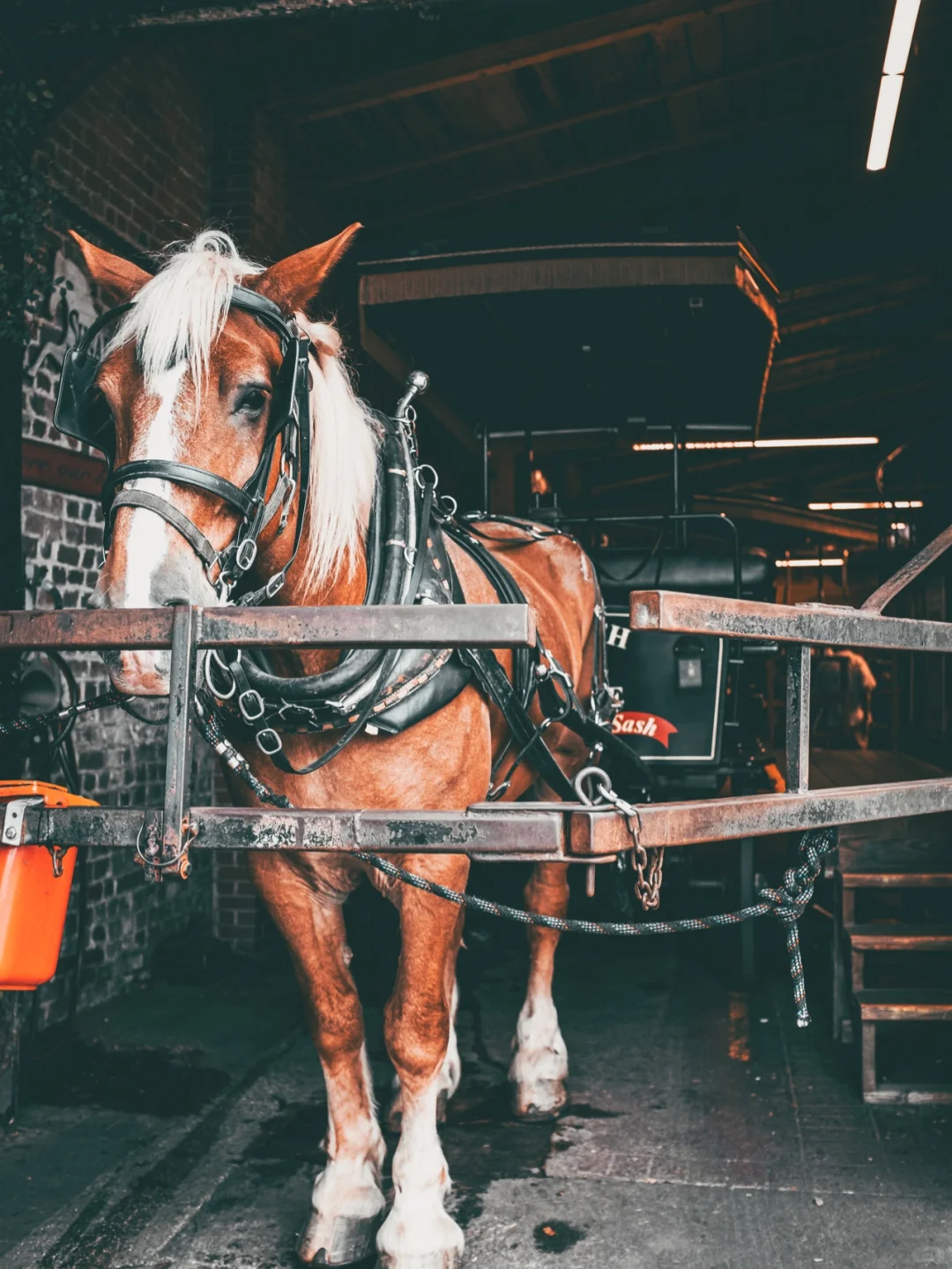 Charleston, South Carolina: A Cultural Travel Guide