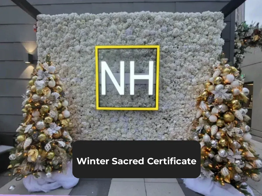 The Rooftop Bar Has Decked Itself Out in Christmas Cheer! 🎄✨