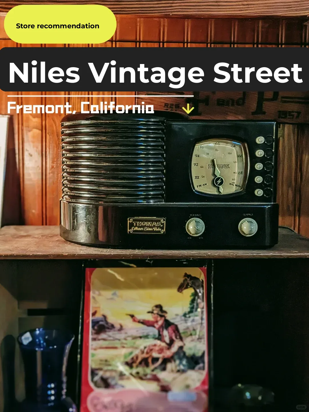 Bay Area Vintage Treasure Hunt Guide | Niles Antique Town