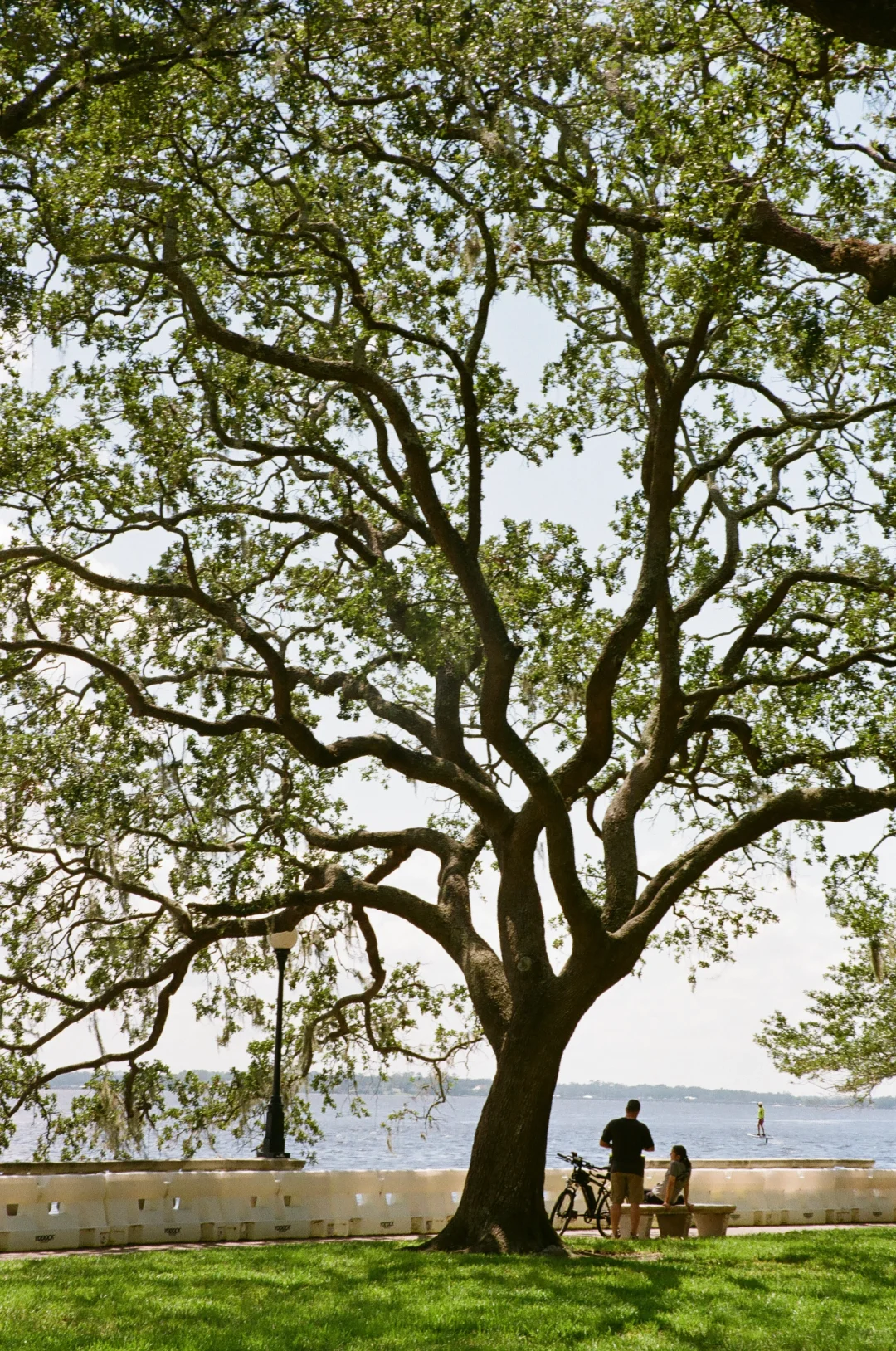 Nostalgic Film Memories: A Day Trip to the Seaside Town of Jacksonville