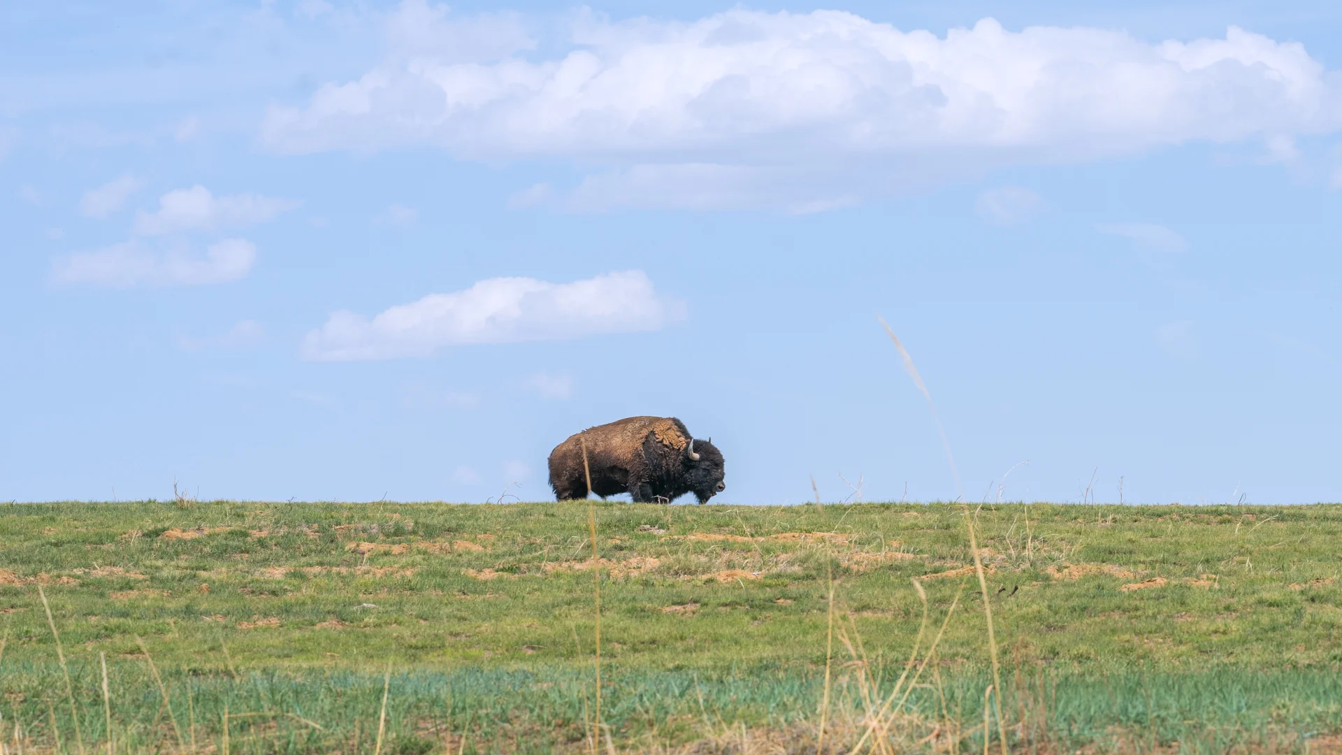 Denver Nature Reserve
