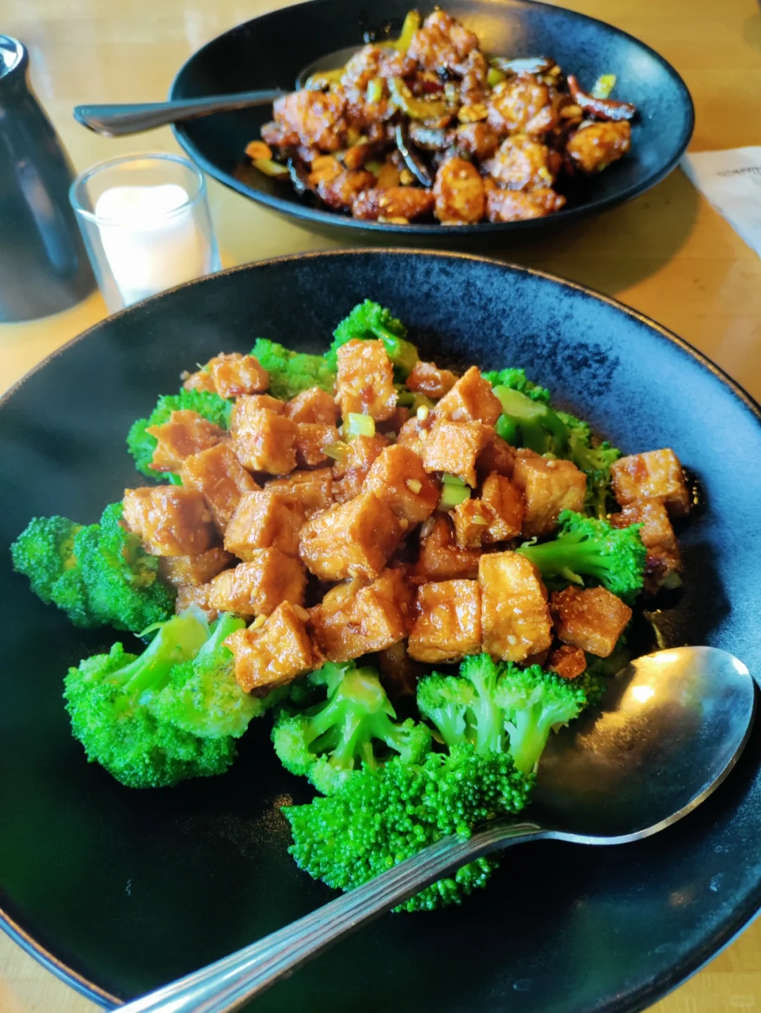 OOO - Tampa, Florida Getaway 🏖️🏖️