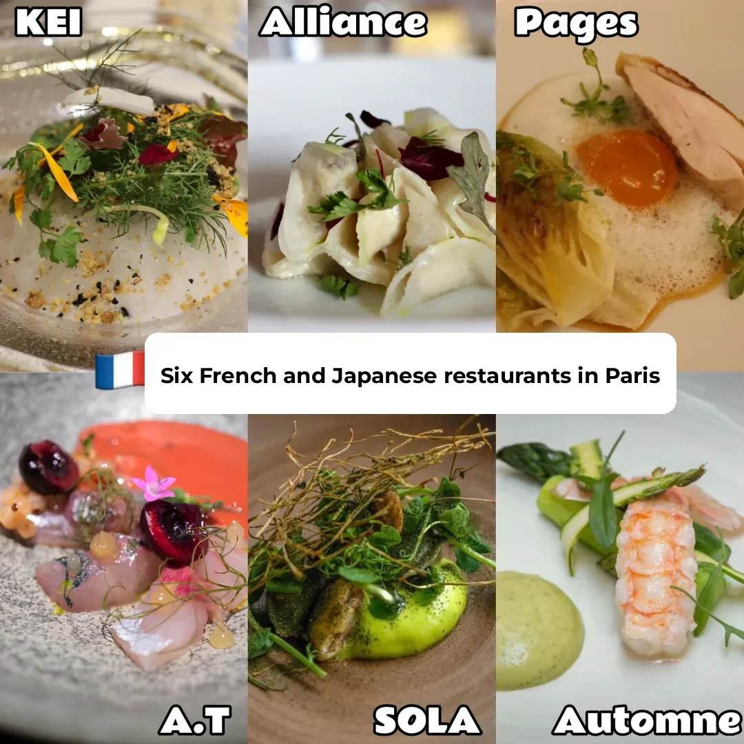 🇫🇷 Paris | How to Choose Among 6 French Restaurants Run by Japanese Chefs?