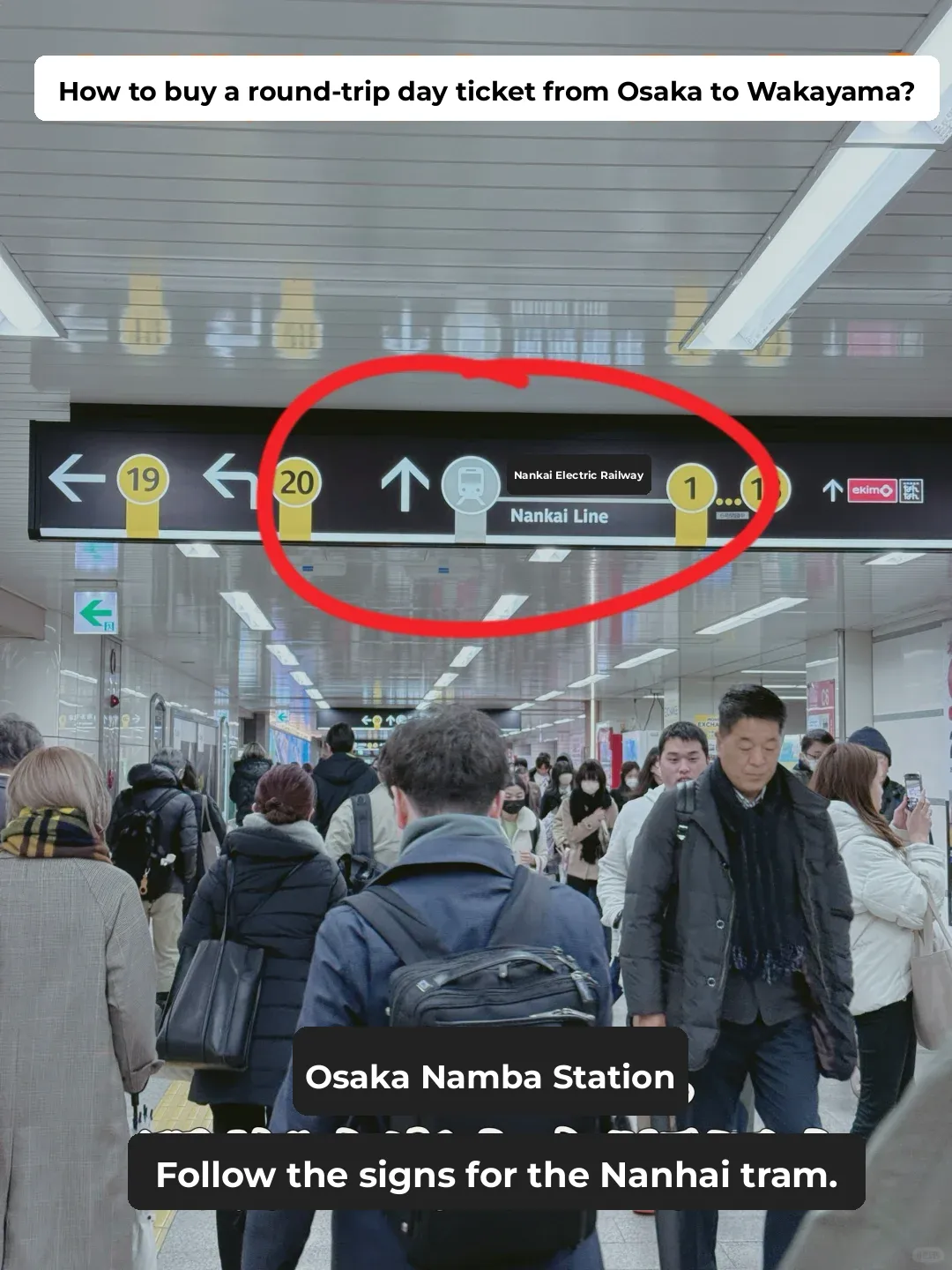 Japan 🇯🇵 Osaka to Wakayama Day Trip Guide: Hassle-Free and Budget-Friendly!