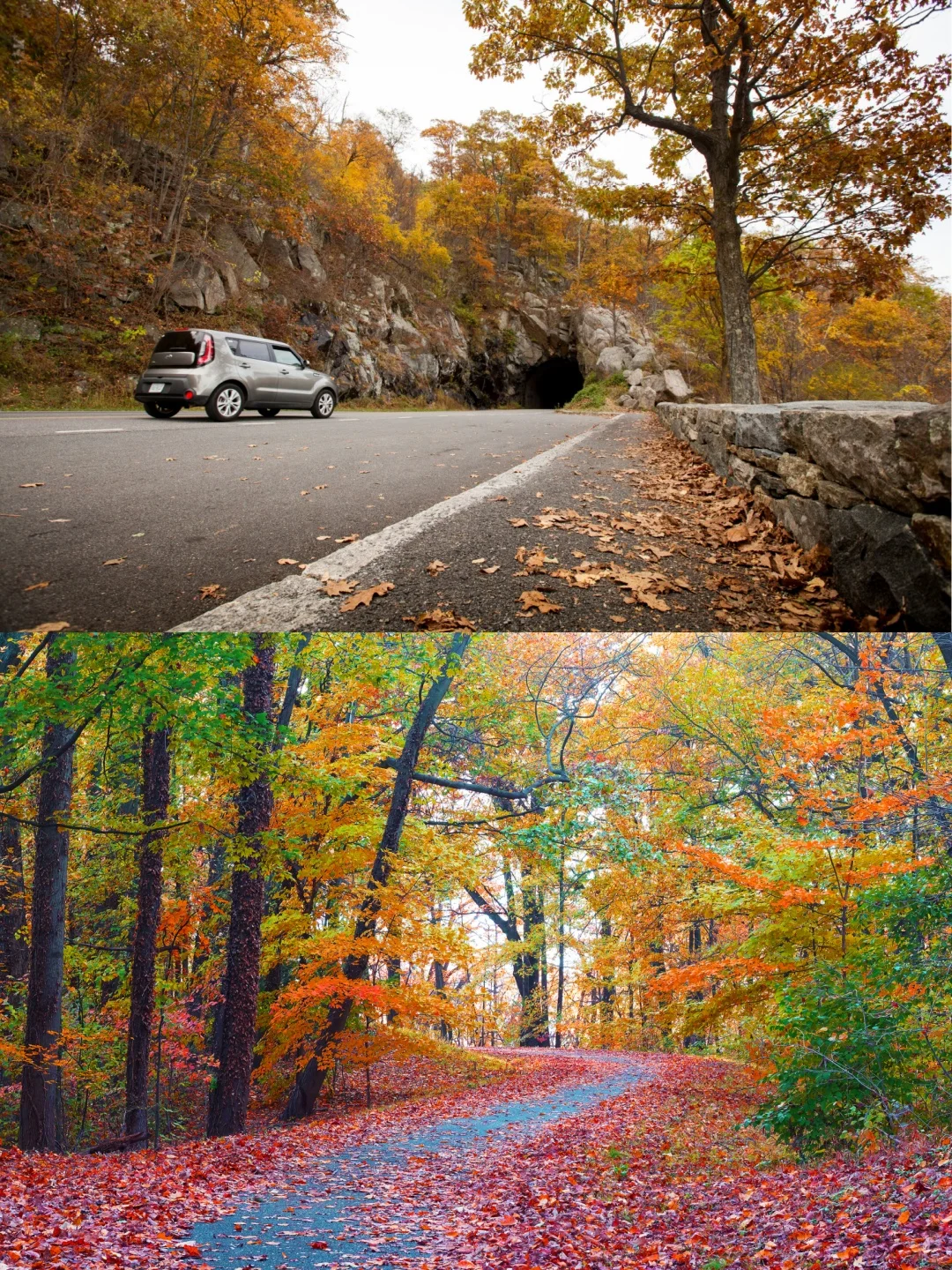 🌈 7 Short Getaways Near Washington, DC for Fall Foliage Viewing