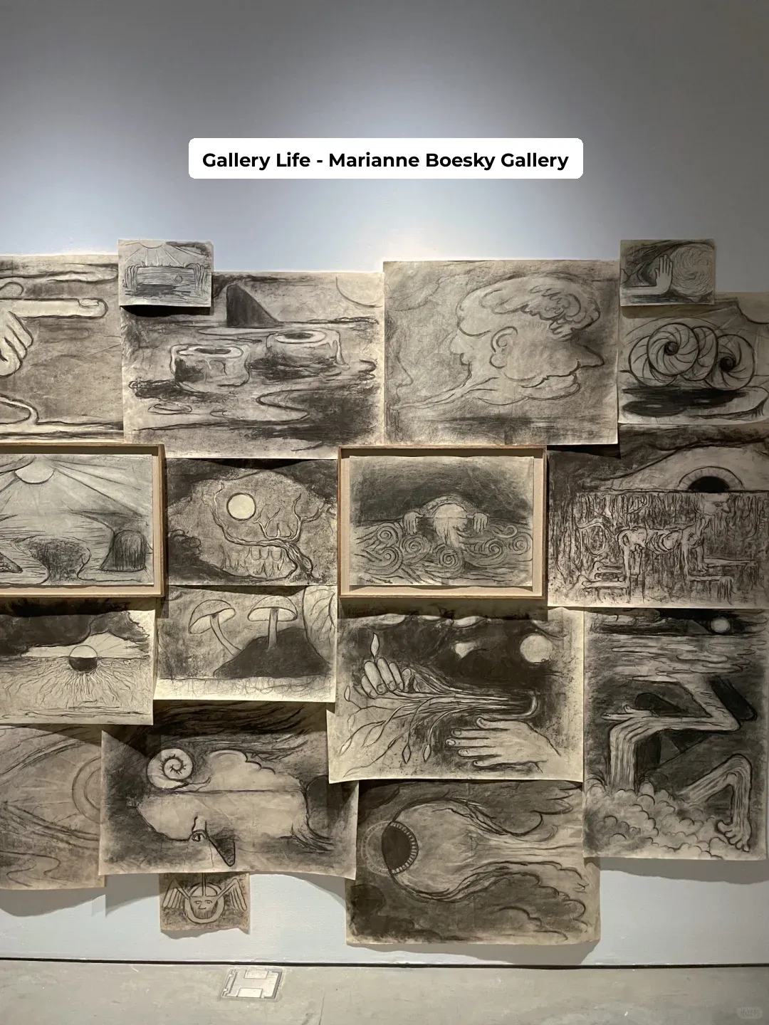 Plog🥯 Escape the Crowds: A Local's Guide to Walking in NYC