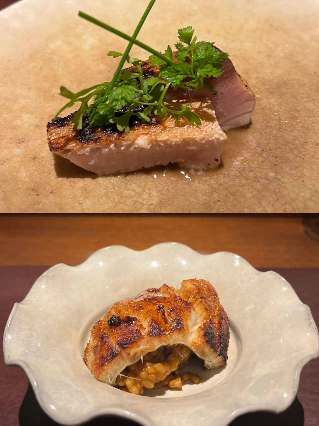 Tokyo Aca: You Either Never Go, or You Keep Coming Back Forever!