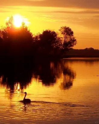 What's your favorite place to walk in Philadelphia?