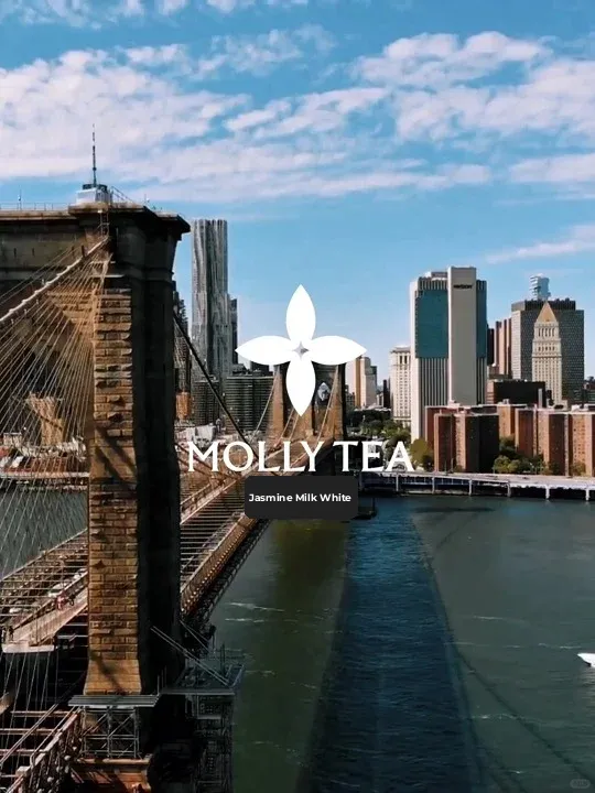 Hello, Brooklyn, New York!