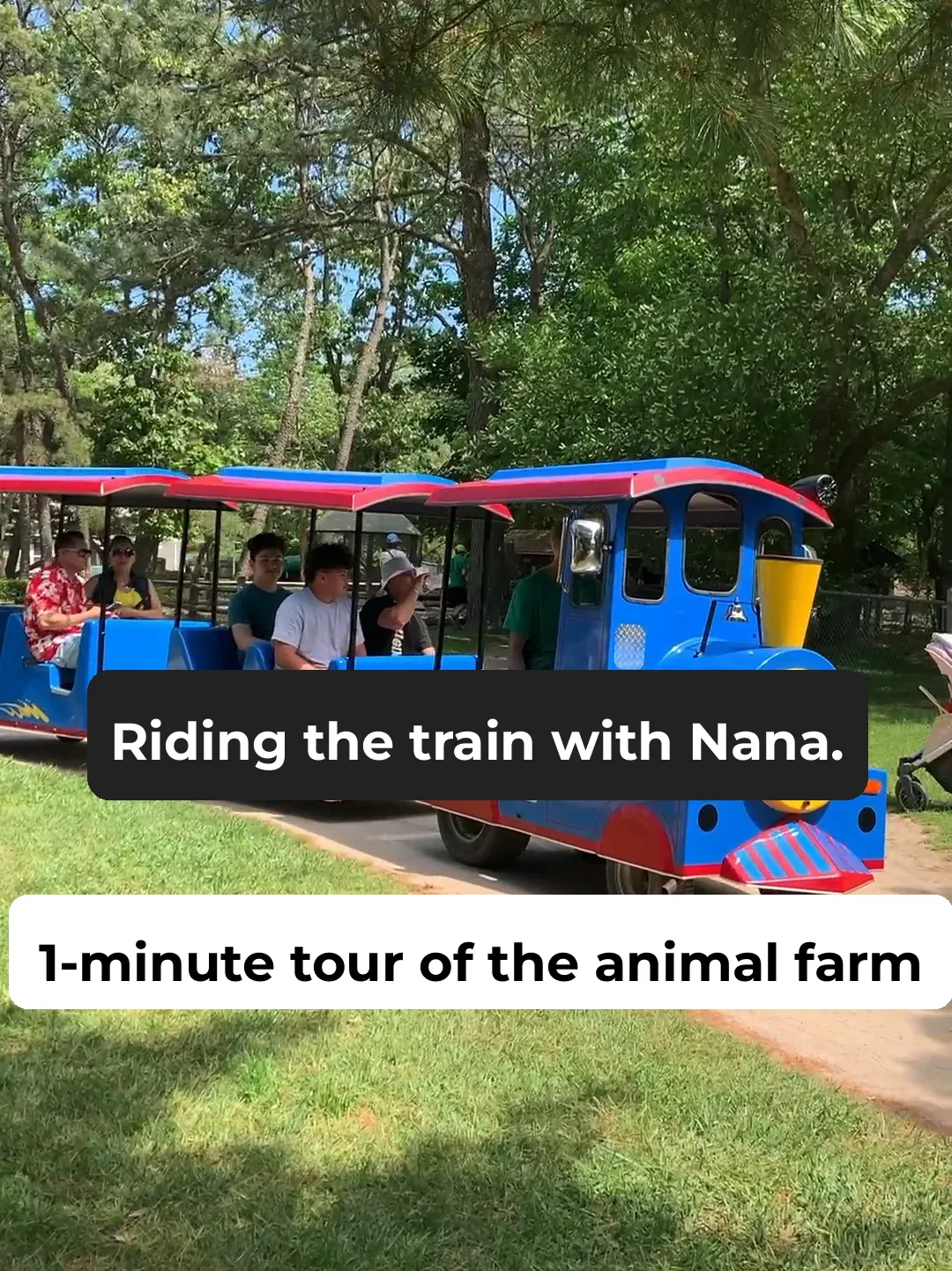 1-Minute Tour of Changdao Animal Farm: Trains, Horseback Riding, Animal Petting, and More!