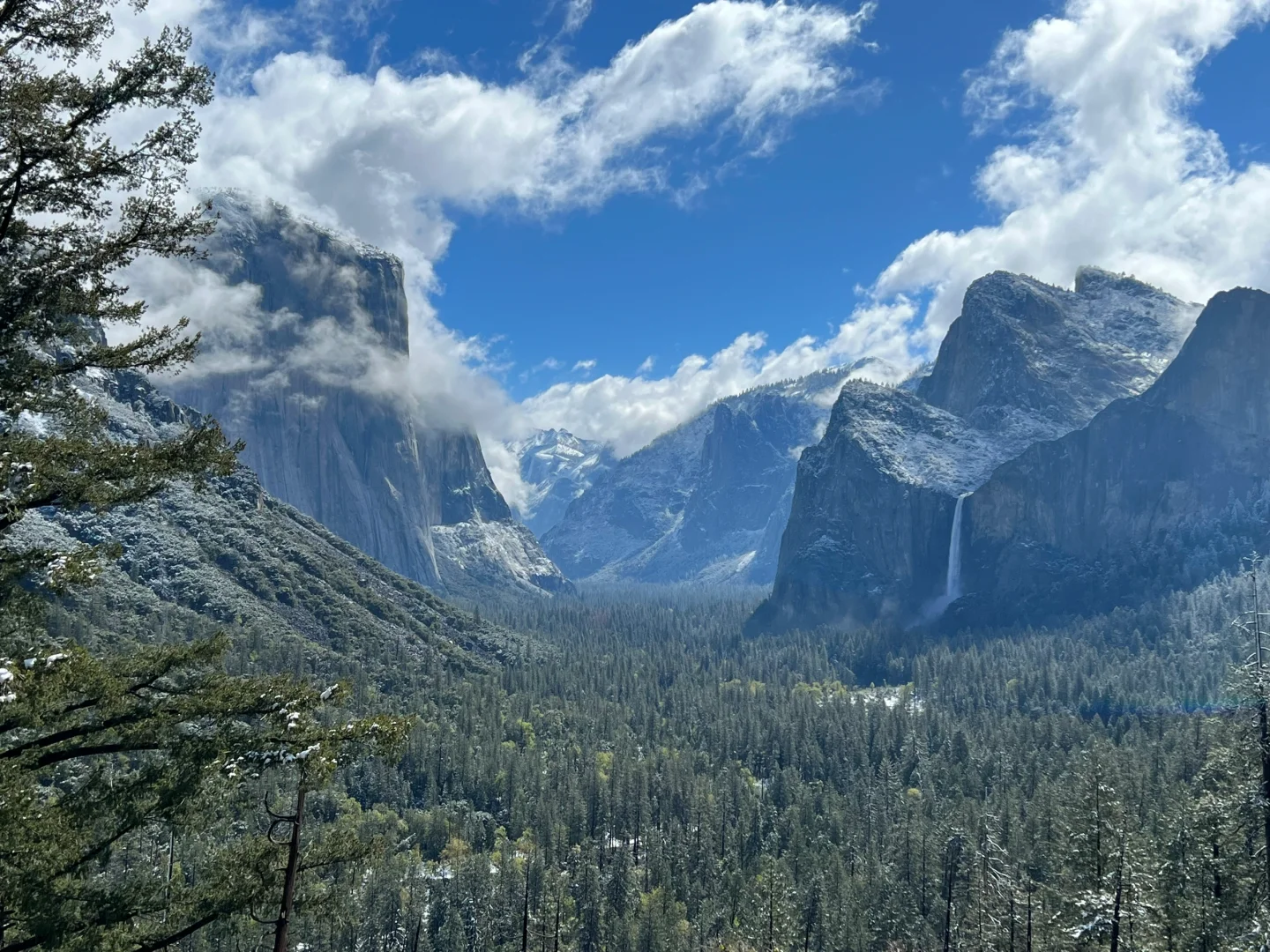 Essential Guide to Yosemite Valley in Yosemite National Park