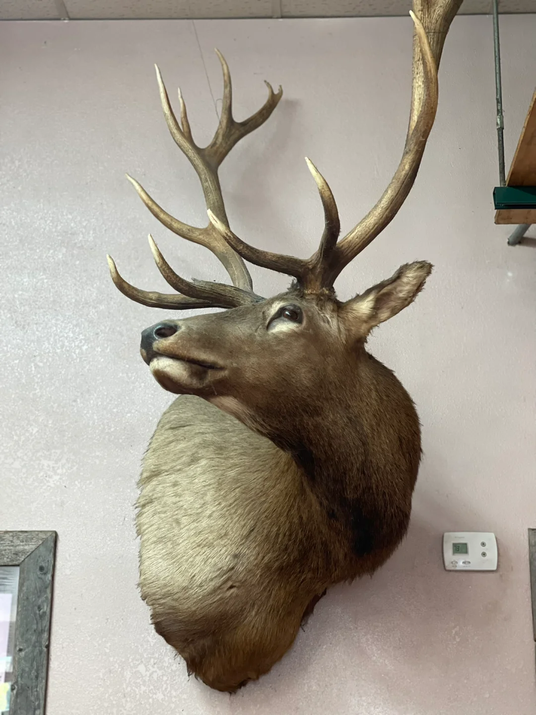 "Dallas, Texas: Ye Olde Butcher Shop"