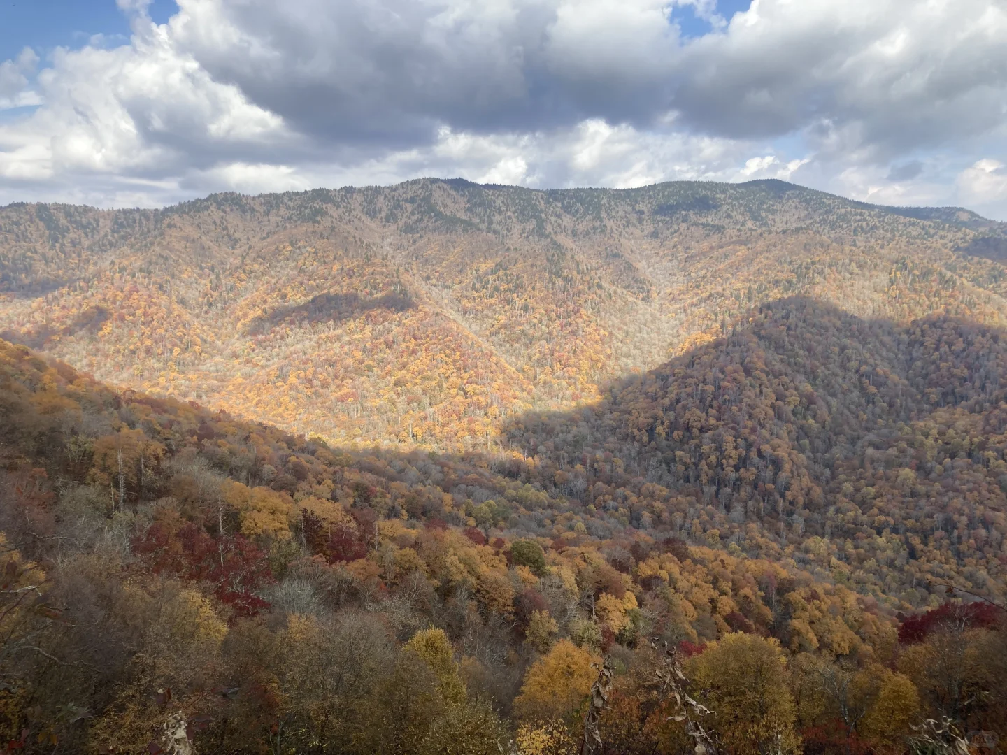 Two-Day Adventure in the Great Smoky Mountains at the End of October