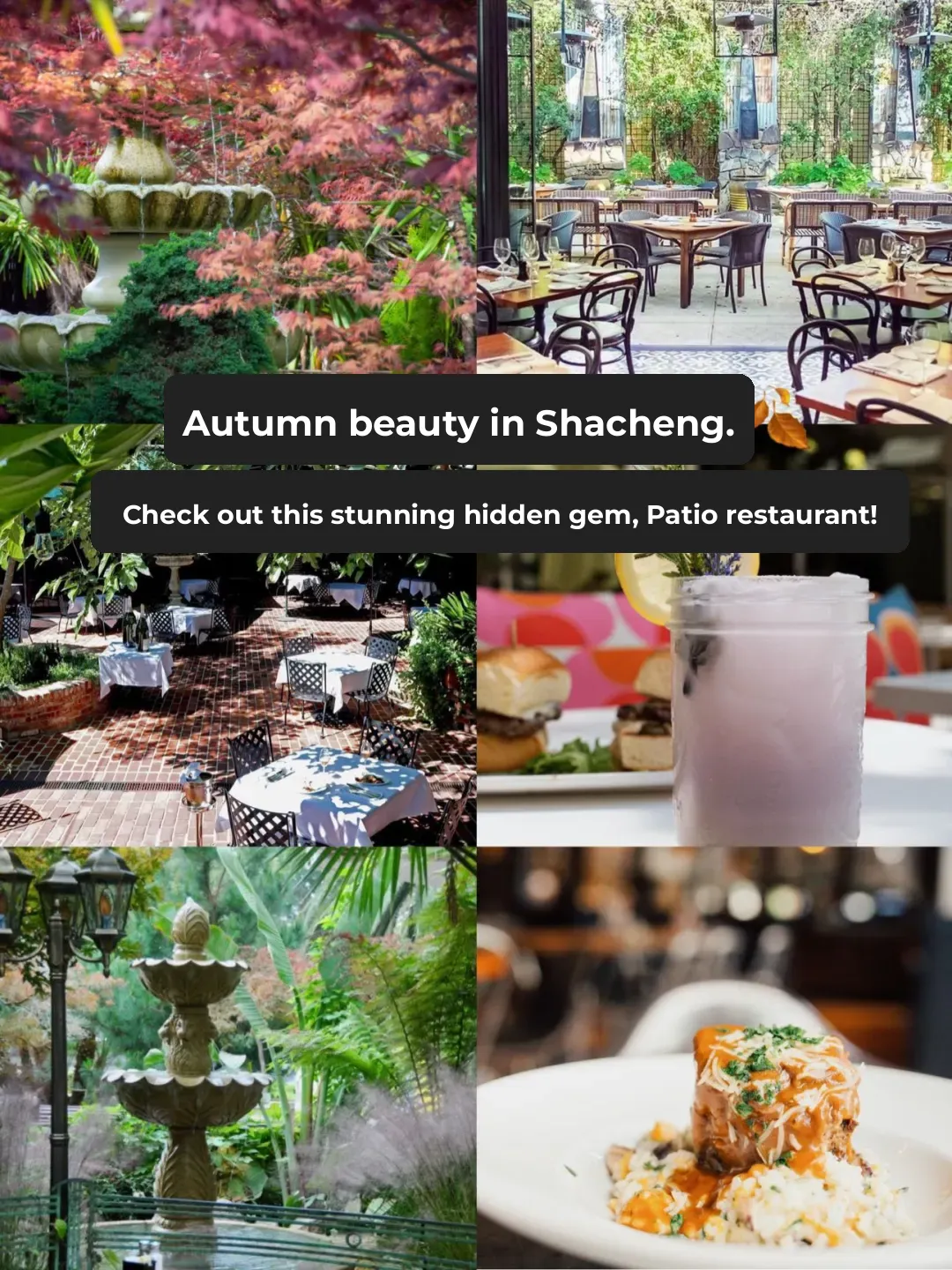 Capture the Autumn Beauty in Sand City 🍂 Must-Visit Hidden Gem Patio Restaurants in This Guide!