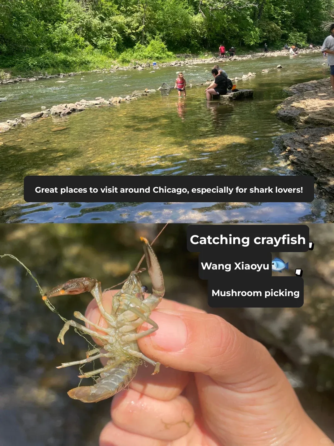 "35 Great Spots Around Chicago for Family Fun with Kids"