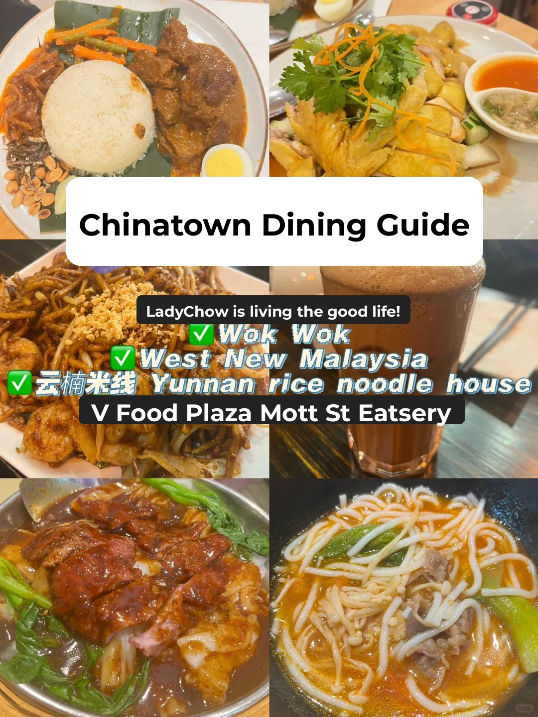 Chinatown Eats 😋 Chinese/Malay Food 📍 Manhattan, NYC