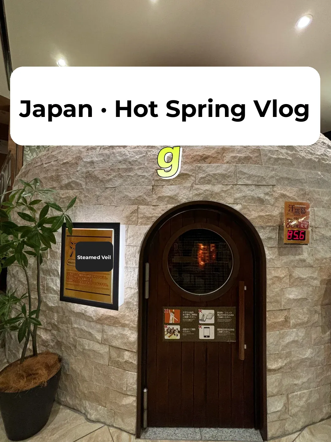 Tokyo 🇯🇵 Hot Spring ♨️ Day Vlog