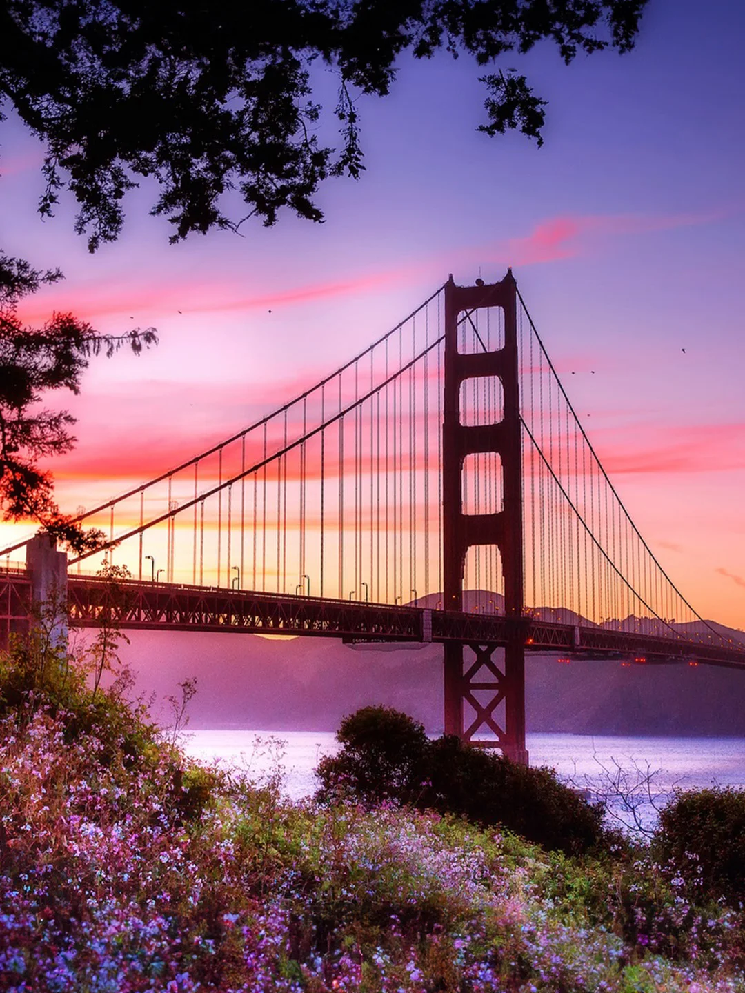 San Francisco Custom Private Car Tours for Chinese Travelers | City and Surrounding Area Itineraries