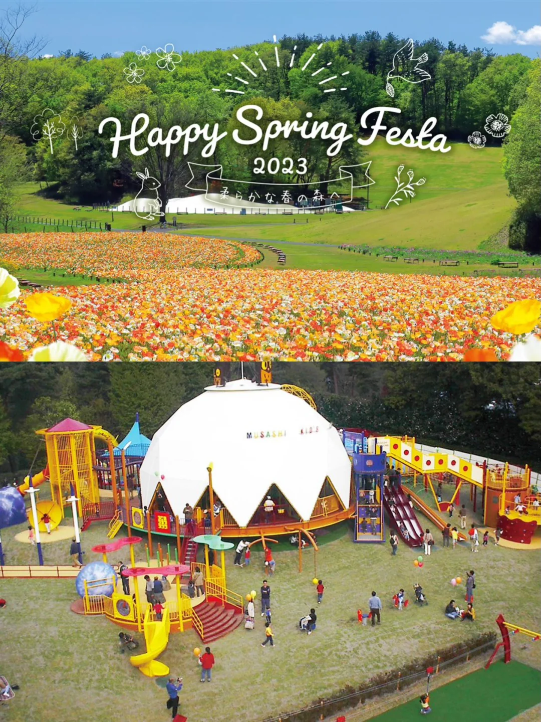 🌳 Saitama's Largest National Forest Park | Perfect for Family Outings