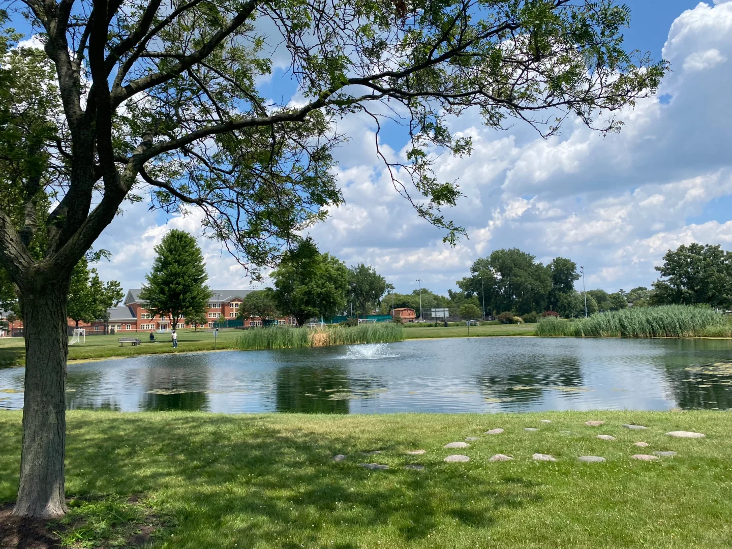 Prospect Park and Its Surroundings