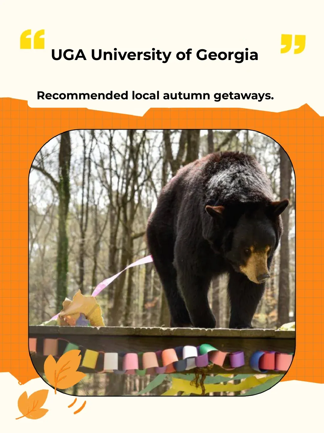 🍂 Autumn in Atlanta: UGA University of Georgia Getaway Recommendations